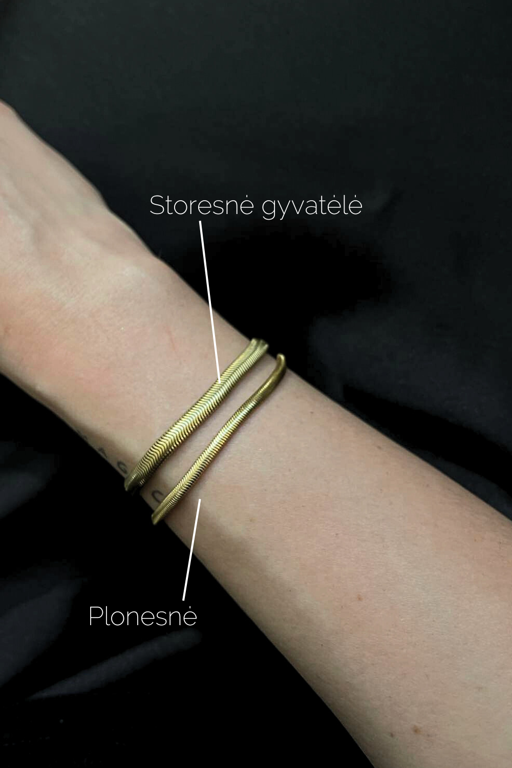 stambesne gyvateles apyranke