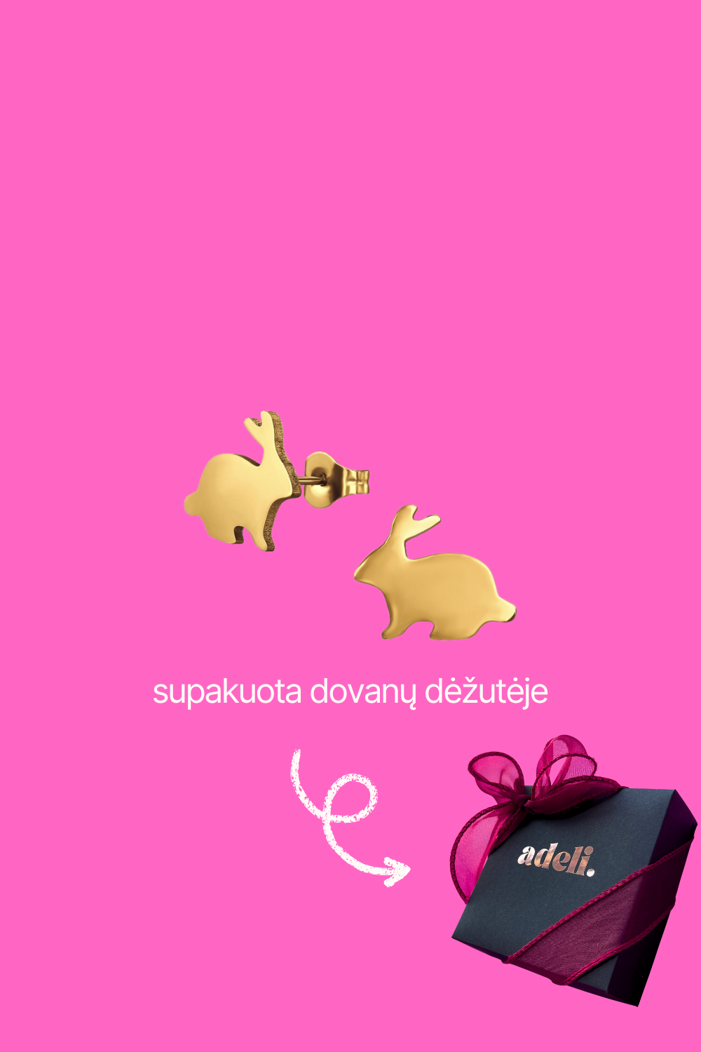 TRIUŠIUKAI | SUPAKUOTA DOVANŲ DĖŽUTĖJE