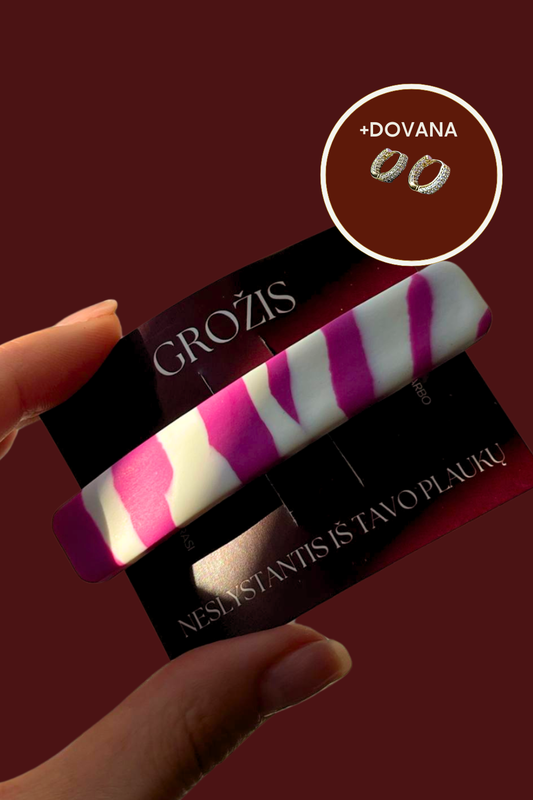 PLAUKŲ SEGTUKAS | RASPBERRY