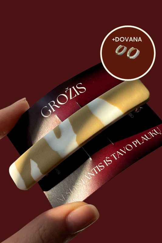 PLAUKŲ SEGTUKAS | MOCHA