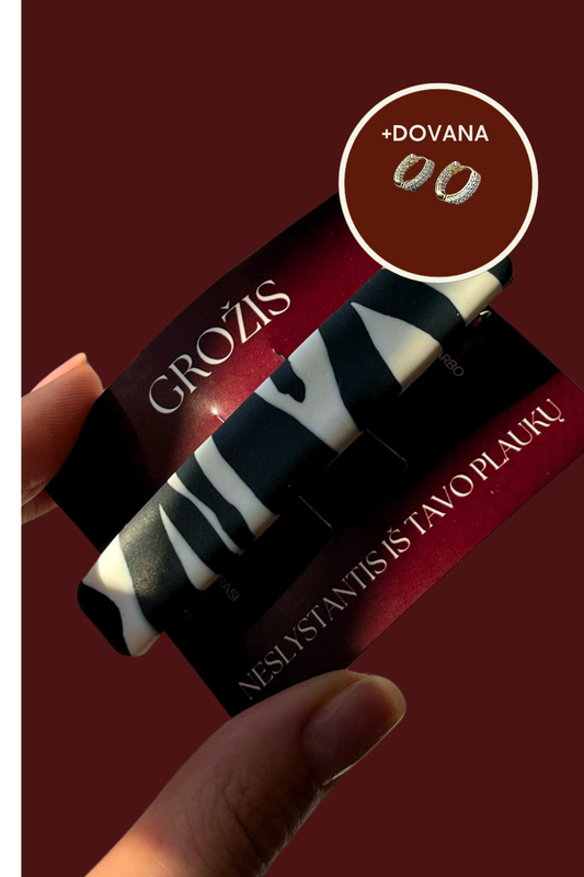 PLAUKŲ SEGTUKAS | ZEBRA