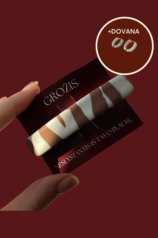 PLAUKŲ SEGTUKAS | GRAPHITE