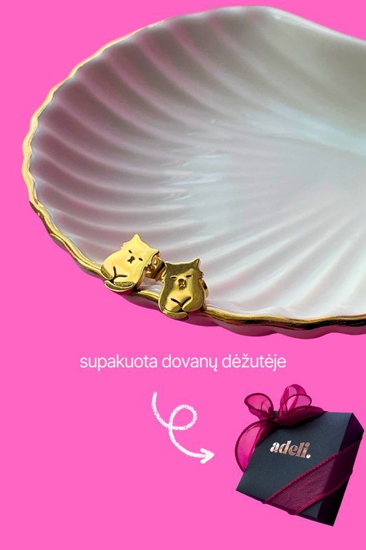 KAČIUKAI | SUPAKUOTA DOVANŲ DĖŽUTĖJE