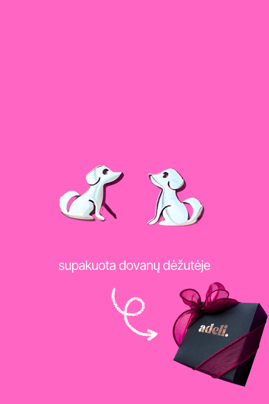 ŠUNIUKAI | SUPAKUOTA DOVANŲ DĖŽUTĖJE